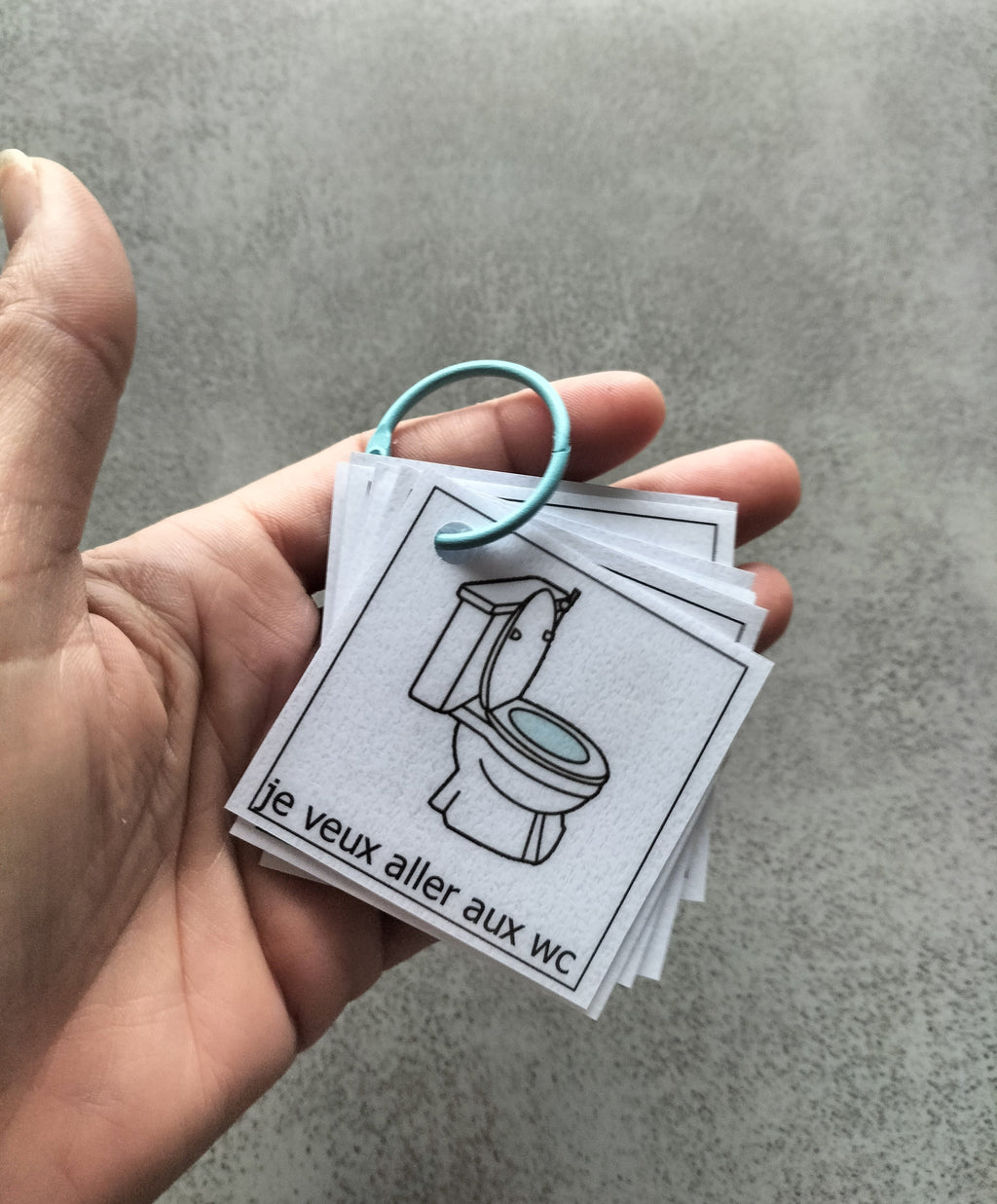 Porte-clés pictogrammes besoins essentiels – Communication CAA / PECS portable enfant TSA TDAH – Mousqueton sortie