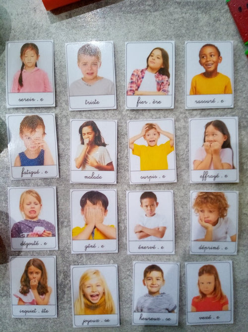 16 pictogrammes émotions enfant – PECS / Makaton CAA – gestion émotions Montessori – TSA non verbal