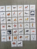 38 pictogrammes animaux enfants  – Imagier Montessori PECS communication TSA non verbal