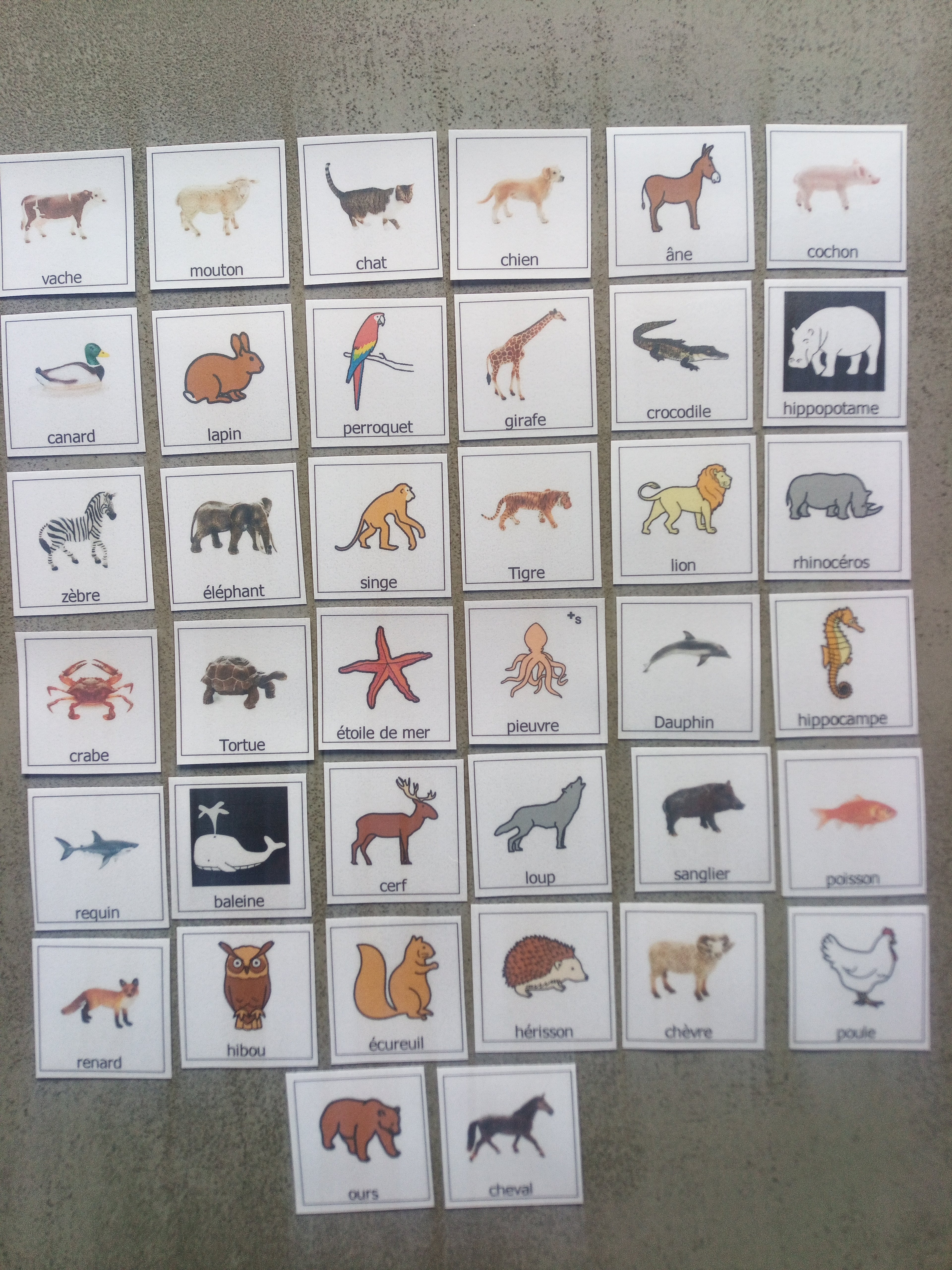 38 pictogrammes animaux enfants  – Imagier Montessori PECS communication TSA non verbal