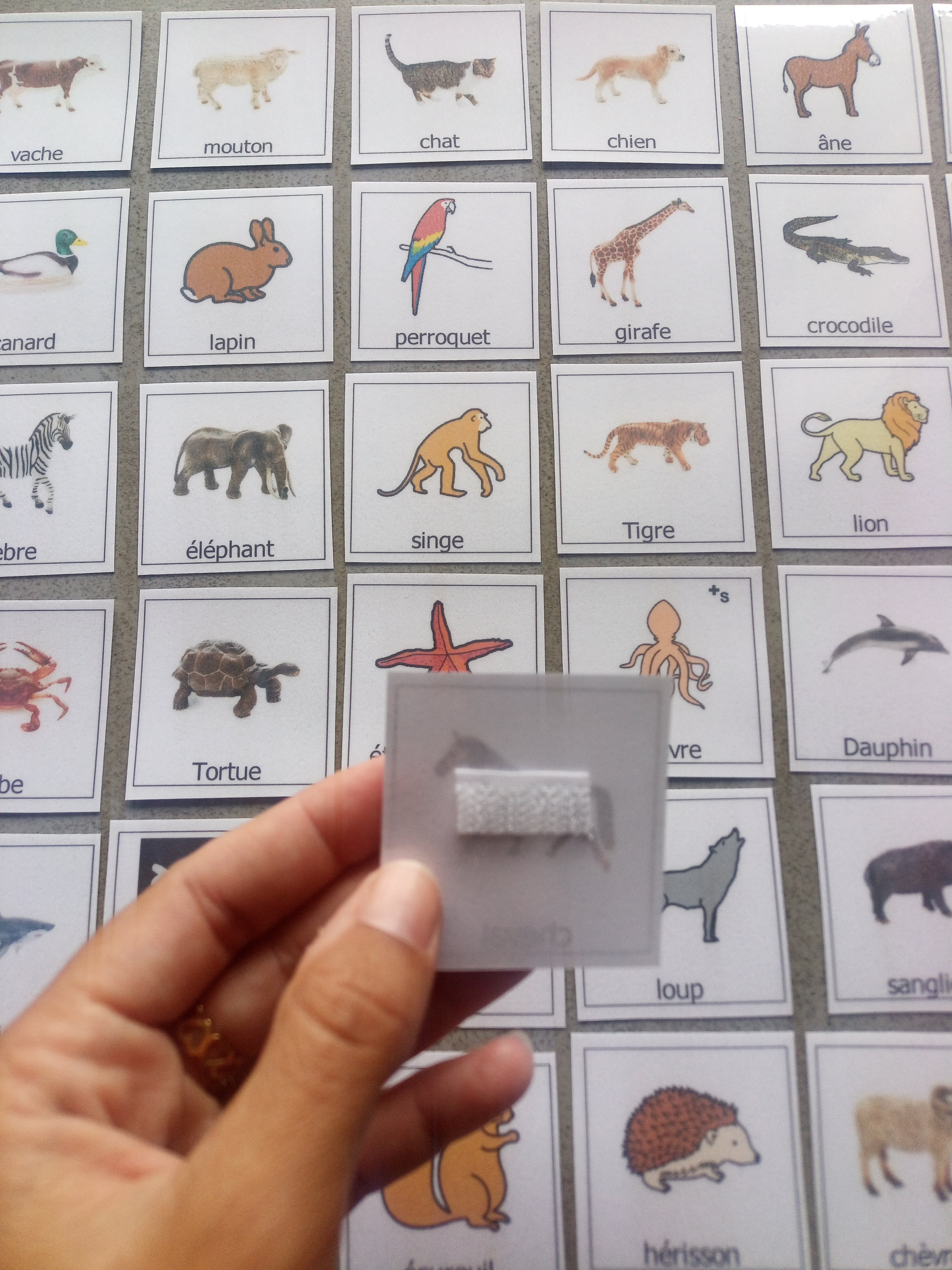 38 pictogrammes animaux enfants  – Imagier Montessori PECS communication TSA non verbal