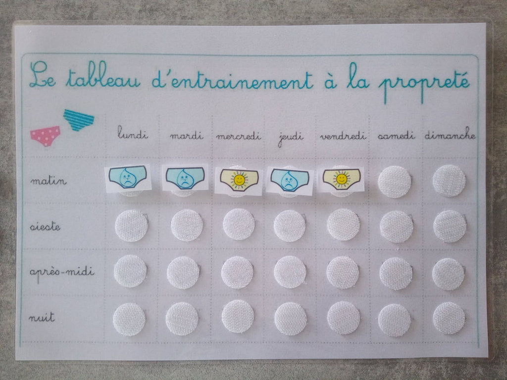 Tableau transition propreté enfant toilettes Montessori – CAA / PECS TSA TDAH – pictogrammes