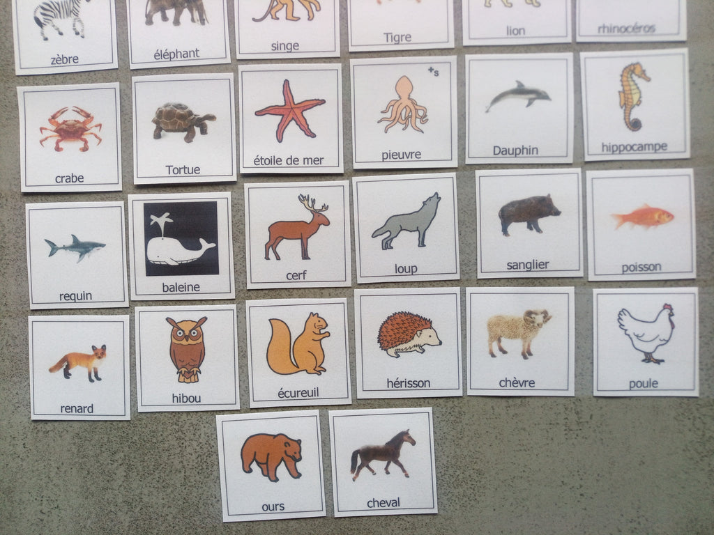 38 pictogrammes animaux enfants  – Imagier Montessori PECS communication TSA non verbal
