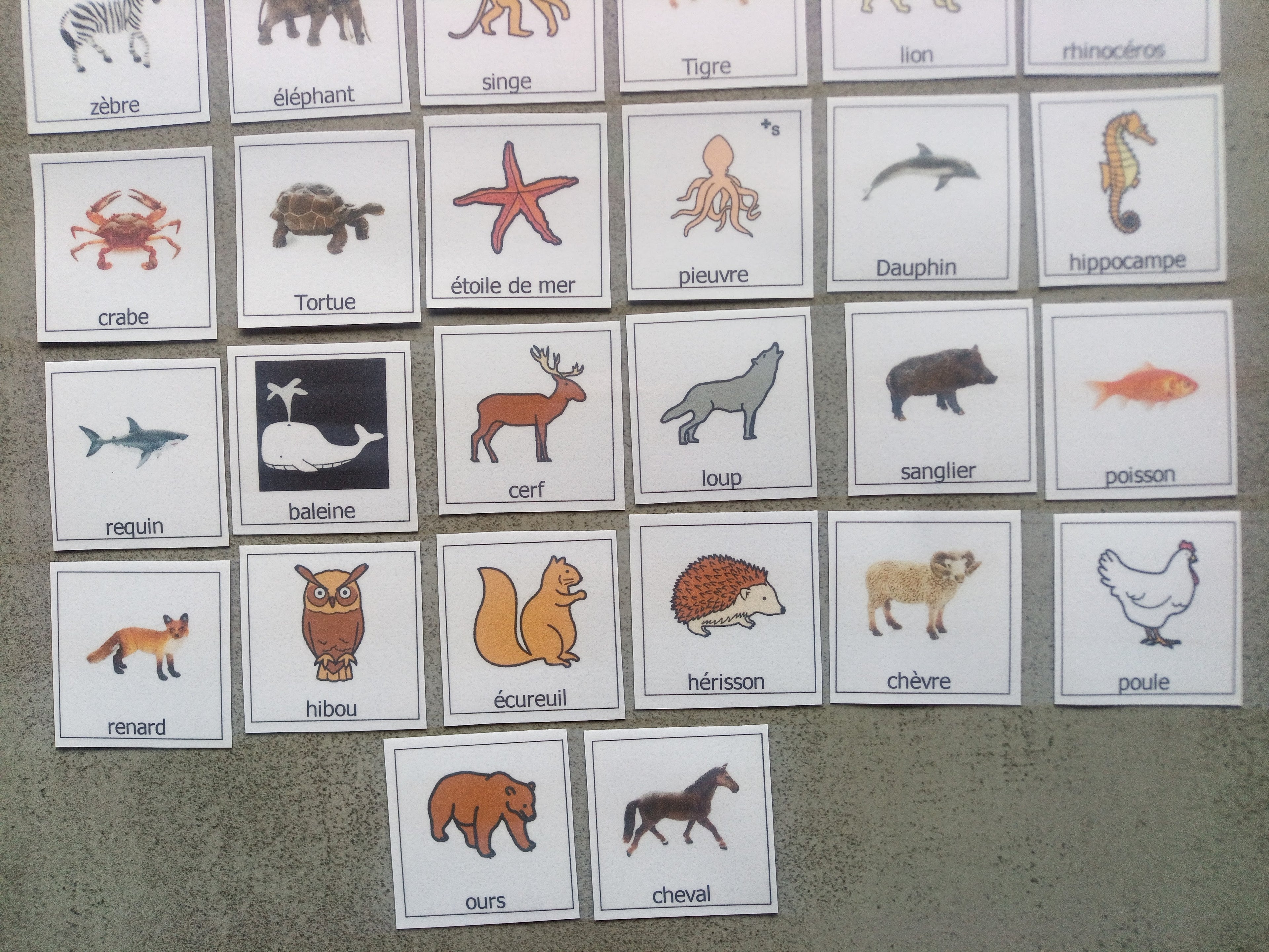 38 pictogrammes animaux enfants  – Imagier Montessori PECS communication TSA non verbal
