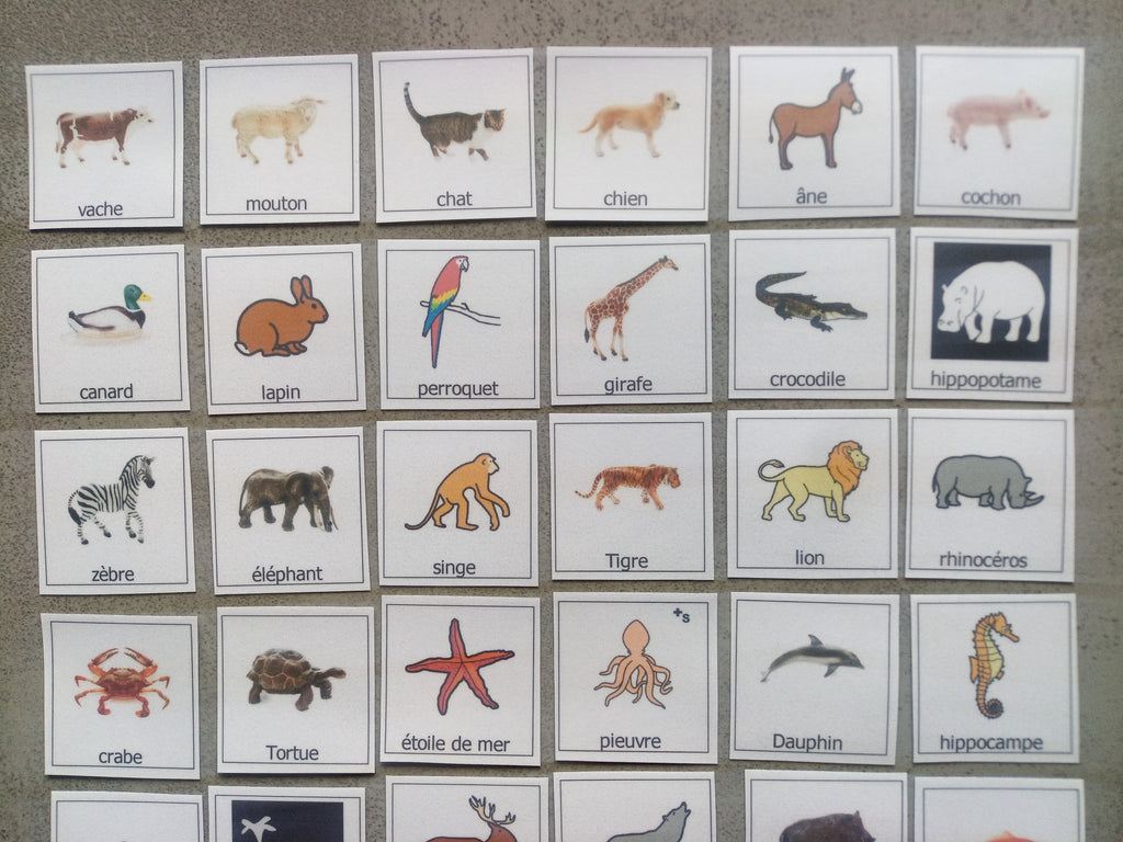 38 pictogrammes animaux enfants  – Imagier Montessori PECS communication TSA non verbal