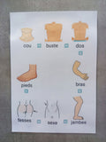 Séquentiel douche enfant – Routine hygiène autonomie Montessori – CAA / PECS TSA TDAH – planche parties du corps
