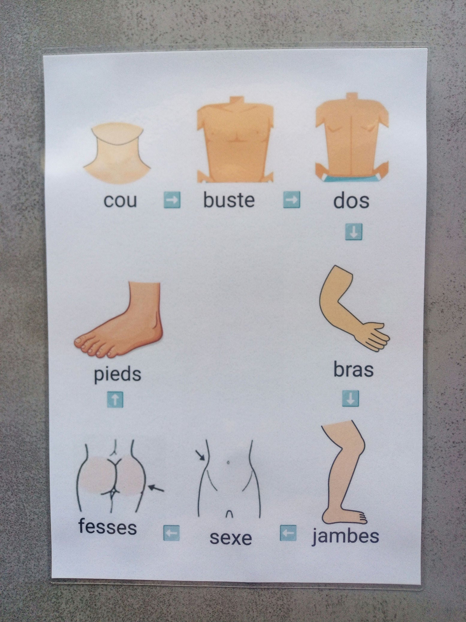 Séquentiel douche enfant – Routine hygiène autonomie Montessori – CAA / PECS TSA TDAH – planche parties du corps
