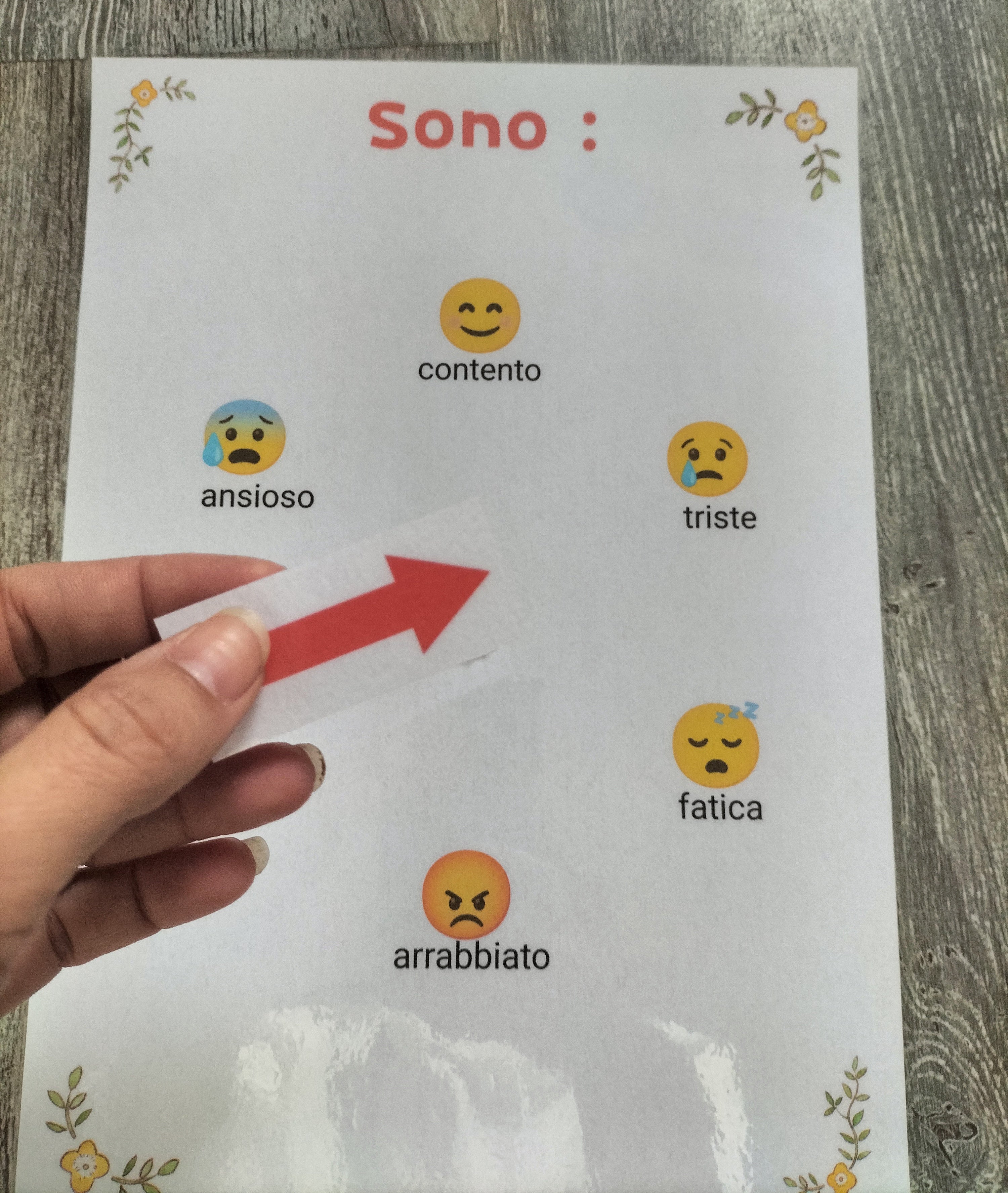 Ruota delle Emozioni Montessori – Supporto Comunicazione per Bambini (PECS, Autismo, CAA)