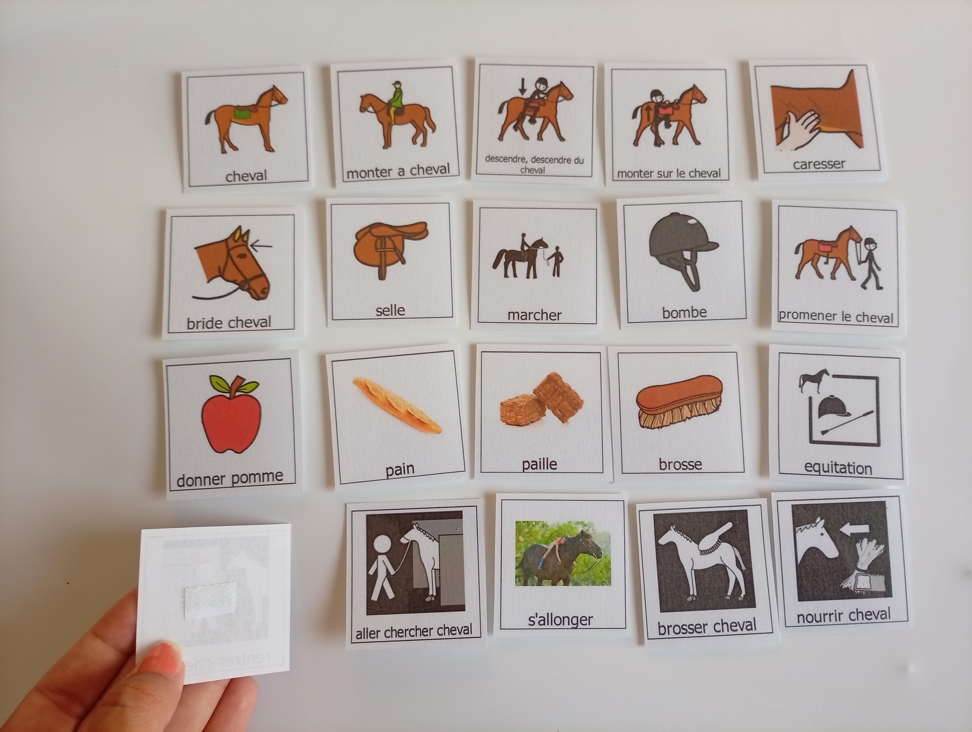 Lot 20 pictogrammes Pecs Équithérapie et Équitation CAA